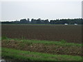 Farmland towards London Road in PE21 7DH