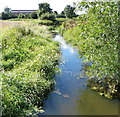 Stream near Mythe Lane in CV9 3NU