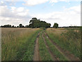 Track near Badcocks Farm, Stebbing in CM7 5EB