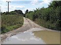 Track to Redbeard's Wood, Great Yeldham in CO9 4HS