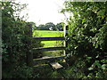 Stile for footpath from Daisy Bank Farm in Penyffordd Community