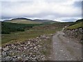 Track to Corriemollie Forest in IV23 2PY