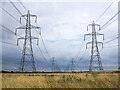 Pylons near Alloa in FK10 1SH