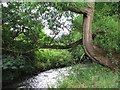 River Drone by Ramshaw Woods, Unstone in S18 4DU
