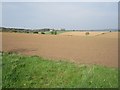 Arable land, Morham Loanhead in EH41 4LH