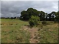 Footpath south-west of Winkleigh in EX19 8HP