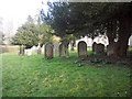 Churchyard at All Saints Church, Netheravon in SP4 9EE
