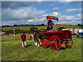 Shire Horses, Cuffley Steam and Heavy Horse Fair in EN6 4EZ