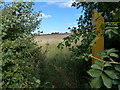 Footpath marker along Upton Lane in CV13 6AU