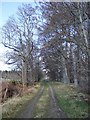 Track alongside Tarland road in AB34 5FH
