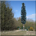 Mobile phone mast dressed as a tree, Coldfield Drive, Southcrest, Redditch in B98 7NR