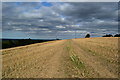Footpath through stubble field on Dean Hill in SP5 2QX