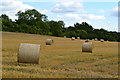 Harvested bales in field in SP5 1AZ