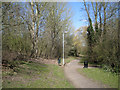 Footpath to Lodge Pool, Lodge Park, Redditch in B98 7NR