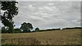 No sign of the path across this field in Hollington