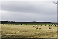 Harvested field near Stynie in Mosstodloch