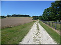 Track in Godmersham Park in Downs North Ward