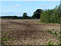 Farmland along Shenton Lane in CV13 6DB