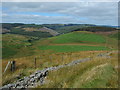 Fence line at Foel y Dyffryn in CF34 0SN