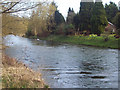 River Avon at Fittleton in SP4 9PX