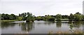 Lake Meadows Panorama in CM12 0HR
