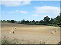Farmland north-west of Postwick in Postwick with Witton