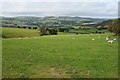 Farmland above Nantglyn in LL16 5RF