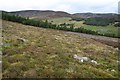 Moorland south of Delnabo in AB35 5US
