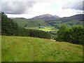 Wood above Tombeithe with view across to Carn Liath in PH16 5LJ