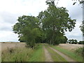 Footpath along a farm track in Little Gidding