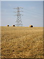 Pylon and straw by Whitworth's Farm in MK43 9AJ