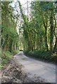 Lane to West End from North Hill Farm in SP5 5JS