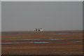 Riders on the beach by Theddlethorpe Dunes in LN12 1PQ