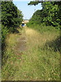 Footpath along the old Newport Pagnell Road in MK43 8SX