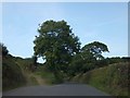 Farm track and gate west of Hartland in EX39 6BX
