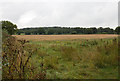 Field north east of Spernal Lane in B80 7ES