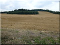 Stubble field on Conington Round Hill in PE28 5RB