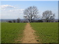 Footpath: Bracebridge Heath in LN4 2QU