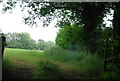 Field near Toad Farm in Burwash & the Weald Ward