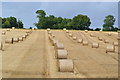 Lines of harvested bales in SO20 8DF
