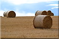 Bales on the skyline in SO20 8DF