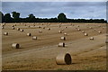 Field of bales in SO20 8DF