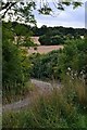 Footpath on track off Stony Batter Lane in SP5 1LR