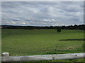 Farmland, Woodnook Farm in S44 5XF