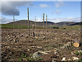 Forest clearance in Glen Moy in DD8 4NE