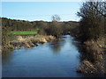 River Till, Winterbourne Stoke in SP3 4SP