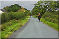 Horse and rider on the lane to Harrison's Farm in PR4 4SE