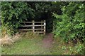 Footpath through the wood in OX2 9QQ