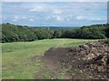 Path eastwards to Hall Wood in S35 4JB