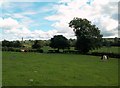 Farmland near Ashbourne in Offcote and Underwood
